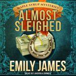 Almost Sleighed, Emily James