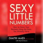 Sexy Little Numbers How to Grow Your Business Using the Data You Already Have, Dimitri Maex