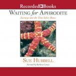 Waiting for Aphrodite, Sue Hubbell