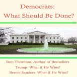 Democrats What Should They Do?, Tom Thornton