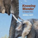 Knowing Wonder, Merrill Sapp