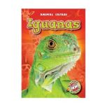 Iguanas, Chris Bowman