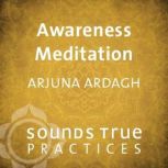 Awareness Meditation, Arjuna Ardagh