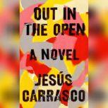 Out in the Open, JesAºs Carrasco