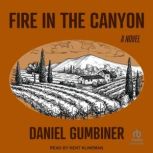 Fire in the Canyon, Daniel Gumbiner