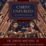 Christ Unfurled, Fr. David Vincent Meconi, SJ