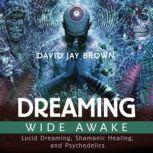 Dreaming Wide Awake Lucid Dreaming, Shamanic Healing, and Psychedelics, David Jay Brown