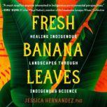 Fresh Banana Leaves, Jessica Hernandez, Ph.D.