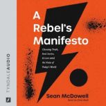 A Rebels Manifesto, Sean McDowell