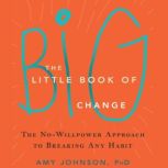 The Little Book of Big Change, Amy Johnson, PhD