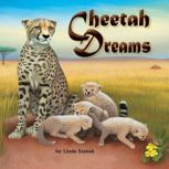 Cheetah Dreams, Linda Stanek