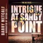 Intrigue at Sandy Point, Barry Metcalf