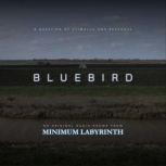 Bluebird, Rich Cochrane
