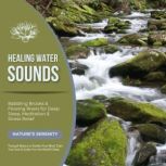 Healing Water Sounds Babbling Brooks..., Mindful Moments  Nature Sounds  Ambient Sounds