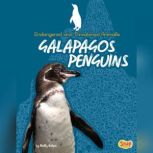 Galapagos Penguins, Molly Kolpin