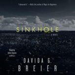 Sinkhole, Davida G. Breier