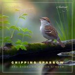 Chipping Sparrow and Babbling Water S..., Greg Cetus
