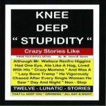 Knee Deep Stupidity, James M. Spears