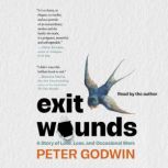 Exit Wounds, Peter Godwin