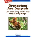 Orangutans Are Copycats, Sudipta Bardhan
