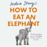 How to Eat an Elephant, India Sturgis