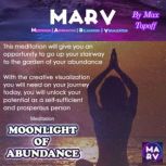 Meditation Moonlight of Abundance, Max Topoff
