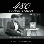 480 Codorus Street Surviving Unpredi..., Sandra L. KearseStockton