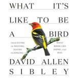 What Its Like to Be a Bird, David Allen Sibley