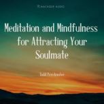 Meditation and Mindfulness for Attrac..., Todd Perelmuter