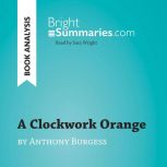 A Clockwork Orange by Anthony Burgess..., Bright Summaries