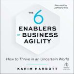 The 6 Enablers of Business Agility, Karim Harbott