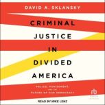Criminal Justice in Divided America, David A. Sklansky