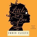 Little Bee, Chris Cleave