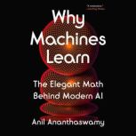 Why Machines Learn, Anil Ananthaswamy