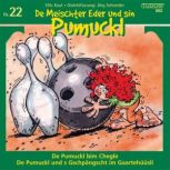 De Meischter Eder und sin Pumuckl Nr...., Ellis Kaut