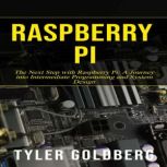 Raspberry PI, Tyler Goldberg