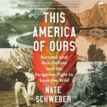 This America Of Ours, Nate Schweber