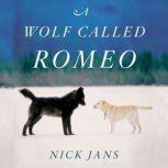 A Wolf Called Romeo, Nick Jans