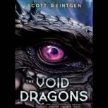 The Void Dragons, Scott Reintgen