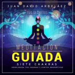 Meditaciin Guiada Siete Chakras Tus ..., Juan David Arbelaez