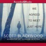 We Agreed to Meet Just Here, Scott Blackwood