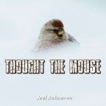 Thought the Mouse, Joel Salmeron