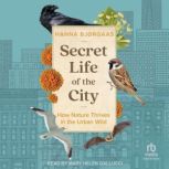 Secret Life of the City, Hanna Hagen Bjrgaas