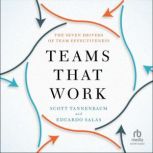 Teams That Work, Eduardo Salas