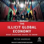 The Illicit Global Economy, Peter Andreas