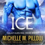 Ice, Michelle M. Pillow