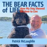 The Bear Facts of Life, Patrick McLaughlin