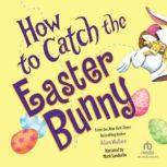 How to Catch the Easter Bunny, Andy Elkerton