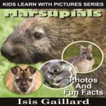 Marsupials, Isis Gaillard