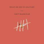 What He Did in Solitary, Amit Majmudar